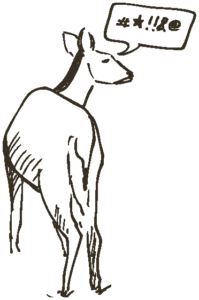 Hand-drawn illustration from the Field Manual of a deer looking back over its shoulder